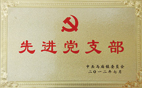 先進(jìn)黨支部-2012.jpg